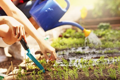 Gardening tools and plants arranged for a service agreement