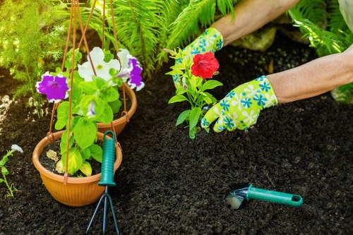 Accessibility request section for local gardening services