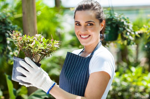 Aeration and mowing for Teddington lawn care