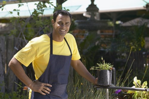 Professional lawn, hedge, and border maintenance in Teddington