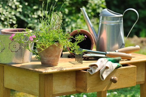 Gardeners Teddington maintaining a balanced and attractive garden