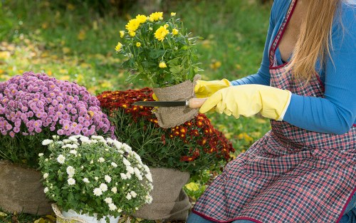 Health and safety focused gardening service