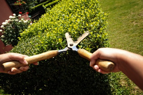 Stylish fencing options for Teddington homes and commercial sites