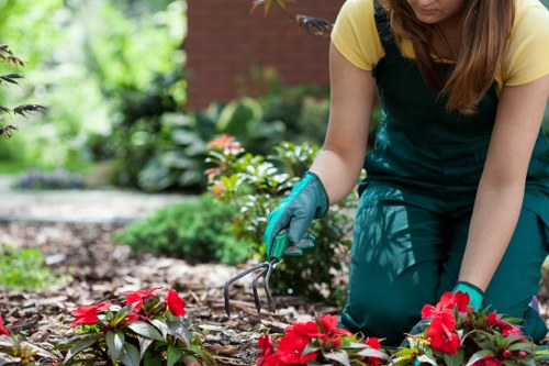 Charity donation of reusable garden items