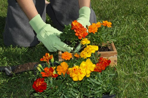 Inclusive gardening content for visitors in Teddington