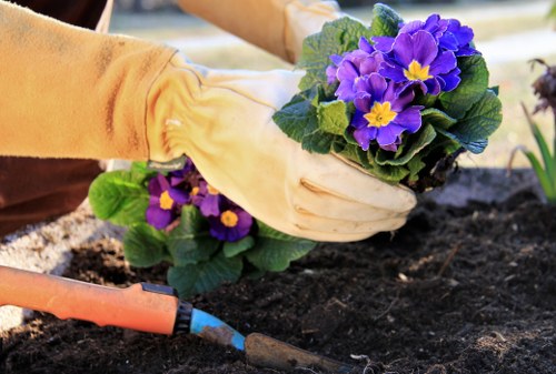 Graphic of a gardener addressing a service concern politely