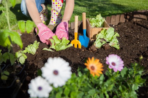 About us gardeners Teddington shaping a neat outdoor space