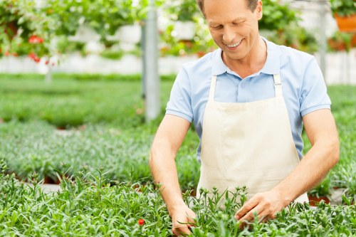Seasonal planting and lawn care by Teddington gardeners
