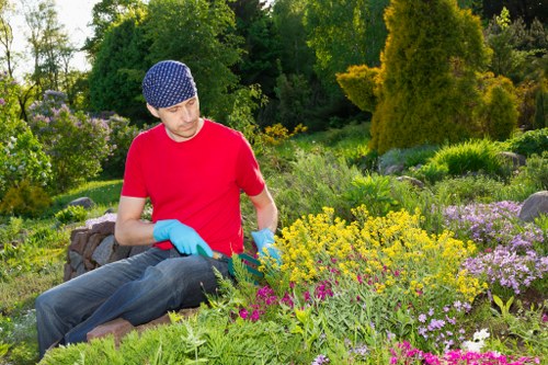 Visual representing a structured gardening complaint review