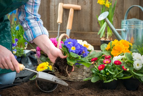 Seasonal lawn maintenance in Teddington garden setting