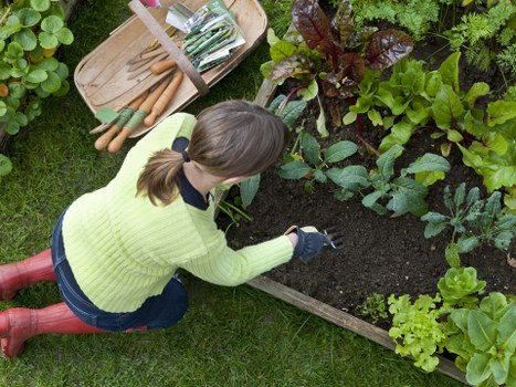 Audit and compliance checks for Gardeners Teddington suppliers