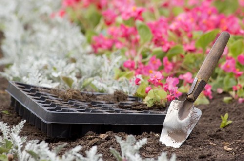 Professional lawn care service for a Teddington garden