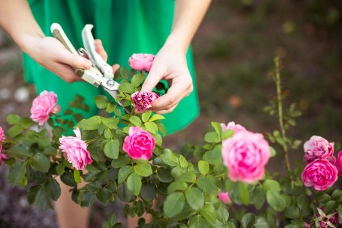 Supplier due diligence and modern slavery prevention at Gardeners Teddington