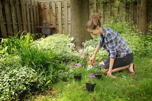 Well-shaped garden hedge improving kerb appeal in Teddington