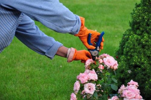 Staff training for safe gardening practices in Teddington