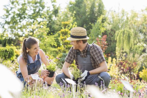 Pruning and trimming services for Teddington gardens