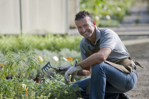 Teddington garden maintenance with healthy planting and tidy borders