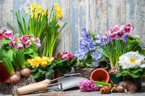 Teddington garden clearance service preparing an untidy outdoor space