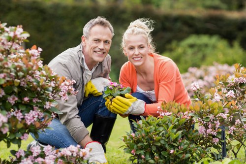 Local gardening maintenance in Teddington with lawn and hedge care