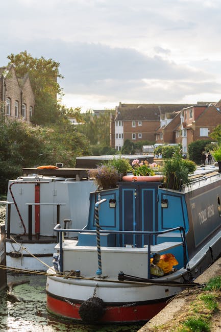 A narrowboat moored along a calm riverside, featuring a well-maintained deck decorated with potted plants and flowers. The boat is painted in shades of blue with a red and white trim, and has a black 