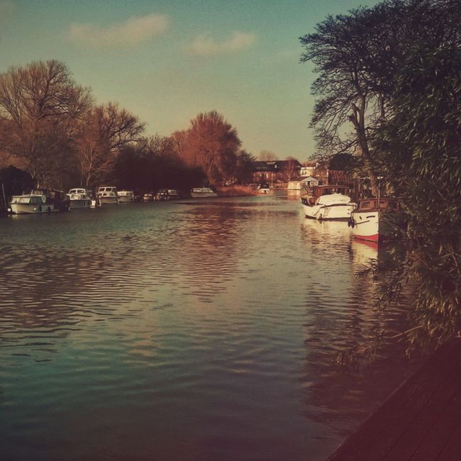 A narrowboat moored along a calm riverside, featuring a well-maintained deck decorated with potted plants and flowers. The boat is painted in shades of blue with a red and white trim, and has a black 